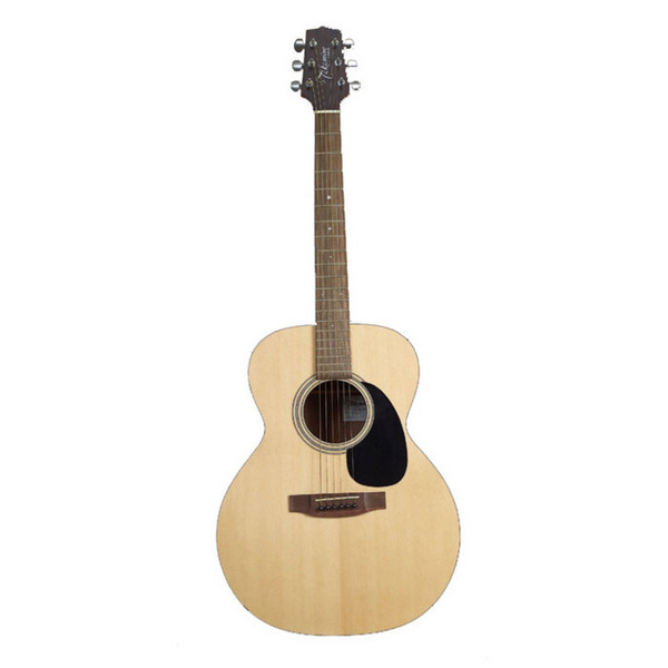 Takamine G220 G Series Acoustic Guitar