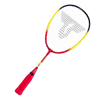 Talbot Torro BISI Mini Racket (449570/449531 - with headcover)