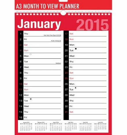 Tallon 2015 A3 month to view planner/calendar