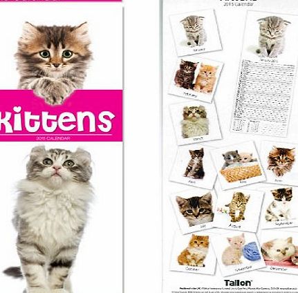 Tallon 2015 Cute Kittens Super Slim Month Per Page Wall Calendar - 12 Images 0500