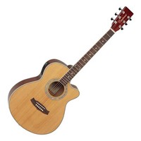 Discovery DBTSFCE Acoustic Guitar