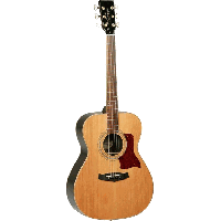 TGA STR DLX Acoustic Guitar