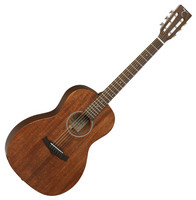 TW133 ASM Parlour Acoustic Guitar