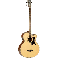 Tanglewood TW155 A Acoustic Bass Guitar