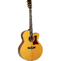 Tanglewood TW55 HB Acoustic Guitar