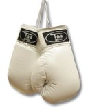 Tao Gear Signature Boxing Gloves