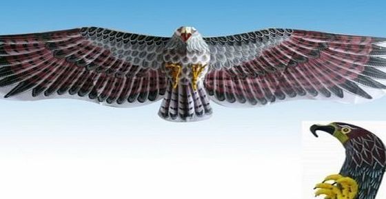 TC 3D Desert Eagle Kite Flying Toy 