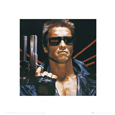 Terminator The Terminator (Art