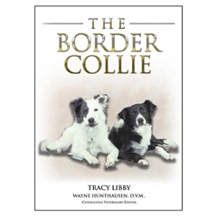 The Border Collie (Book)