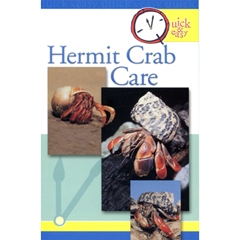 Hermit Crab Care : Quick And Easy