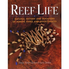 Reef Life (Book)