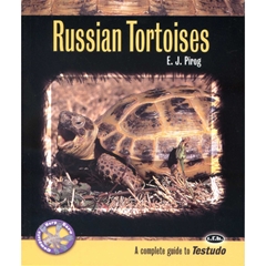 Russian Tortoises (Book)
