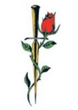 The Creative Nut Ltd Rose and Thorn Temporary Tattoo