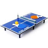The Discovery Store Mini Table Tennis