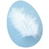 the Egg-cellent Selection in ``White Feather``