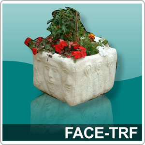 Faces Trough FACE-TRF