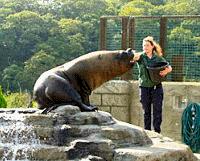 the National Seal Sanctuary (Cornwall) Student