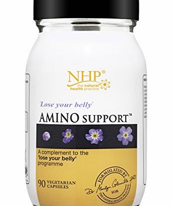 The Natural Health Practice Ltd Natural Health Practice Amino Support 90 Capsules