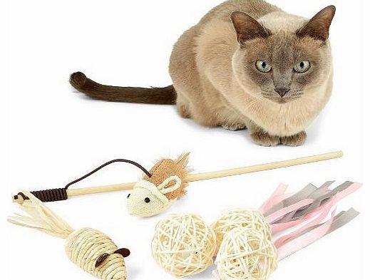Cat Toys Megapack - 1 x Interactive Catnip / Feather Toy On A Stick, 3 x Wicker Bell Balls, 1 x Handmade Mouse Chew Toy - The Best Toy Pack For Cats or Your Kitten! 5 Great Toys / Accessories For Kids