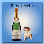 The Pet Set Birthday Champagne