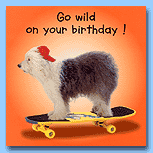 The Pet Set Sheep Dog - Birthday