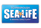Theme Parks Scarborough SEA LIFE Marine Sanctuary (Entry