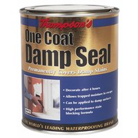 Thompsons One Coat Damp Seal 750ml