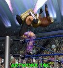THQ WWE WrestleMania XIX GC