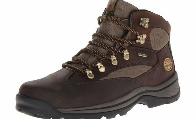 Rg Hike Ftp Chocorua Trail Mid Gtx, Men High Rise Hiking Shoes, Brown (Brown/Green), 7 UK (41 EU)