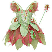 Tinkerbell Fairy Dress Up Age 3/5