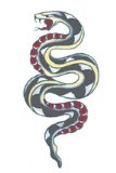 Tattoo: Snake