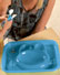 TippiToes Baby Feeding Tray Blue