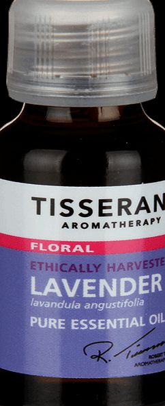 Tisserand Essential Oil Lavender 20ml - 20ml