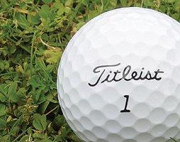 titleist Pro V1 Lake Balls