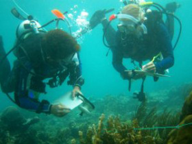Tobago marine conservation project