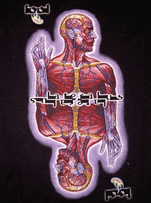 Lateralus T Shirt