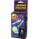 Toyday Luminous Skeleton