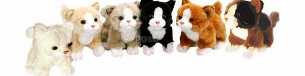 ToyPost Cats - Kittens - Soft Toy