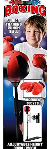 80 - 120cm Punch Ball with Gloves