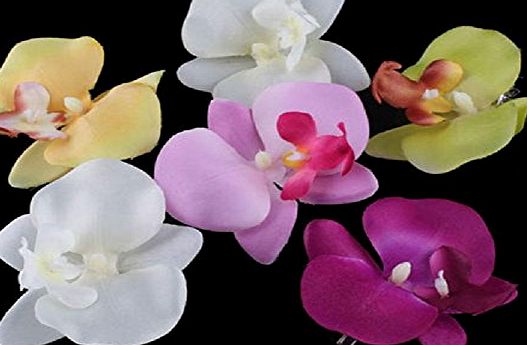 TR.OD Orchid Flower Hair Clip Hairpin Bridal Hawaii Party Banguet Hairdressing Set of 6