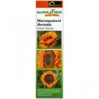Namaqualand Arctotis - Fair Trade Seeds