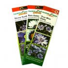 Set of 3 Packs of Fairtrade Seeds