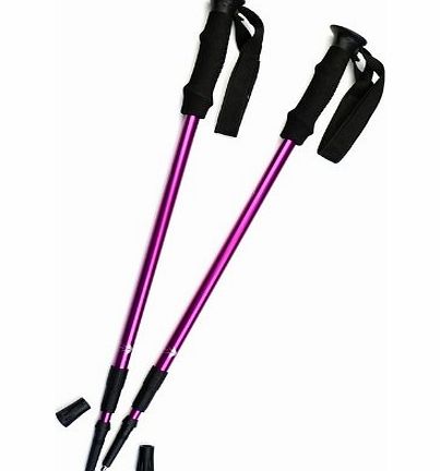 Trekrite Pair of Trekrite Womens Antishock Hiking Sticks / Walking Poles - Purple