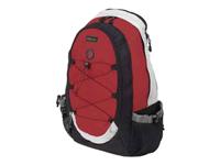 15.4 Notebook Backpack BG-4600p