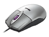 Trust Ami 3 Button PS2 Scroll Mouse