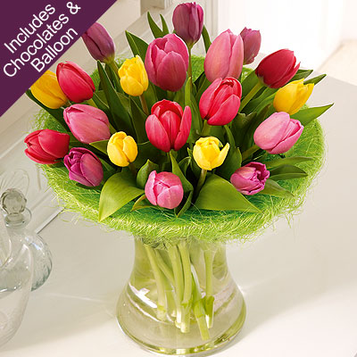 tulip Perfect Gift with Birthday Balloon and Chocolates