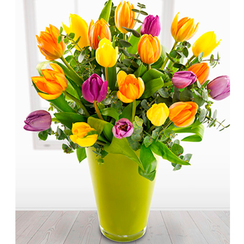 Tulip Treat - flowers