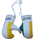 Turner Sports Mini Punch Boxing Gloves Miniature Novelties Key Chain Ireland Flagged