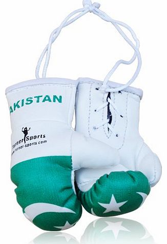 TurnerMAX Mini Punch Boxing Gloves Miniature Novelties Key Chain Pakistan Flagged