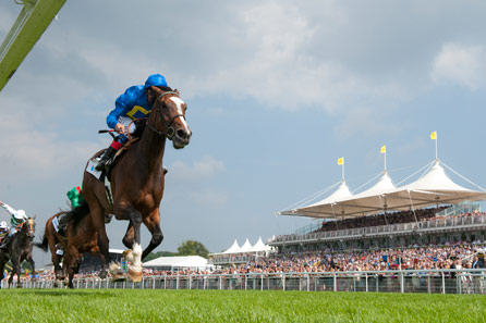 Ultimate Glorious Goodwood Experience with